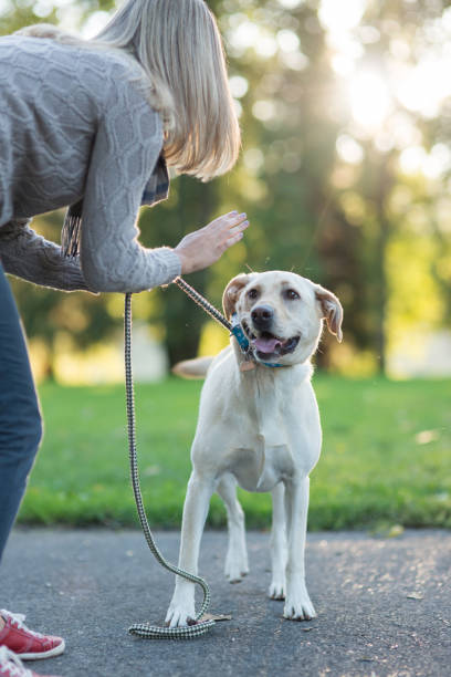 istock A Woman and Her Dog 982166202