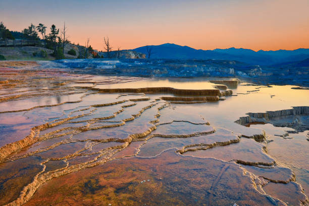 Mammoth Hot Springs is a very popular destination in Yellowstone National Park in Wyoming.