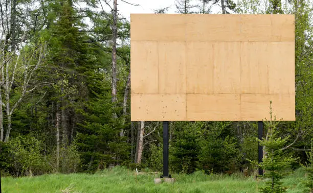 A blank wooden billboard at the side of a highhway. Trees behind the billboard, and sky is overcast. The billboard is made of plywood panels.