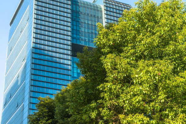 istock Details of a modern office building with a tree 982199102