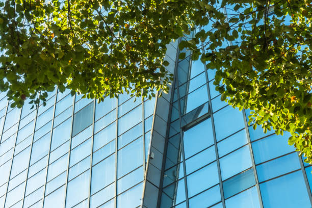 istock Details of a modern office building with green leaves 982199122