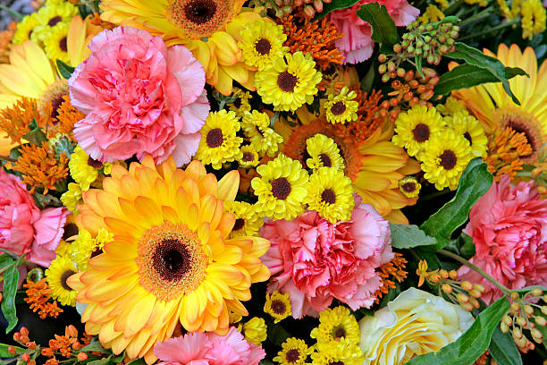 Flowers stock photo