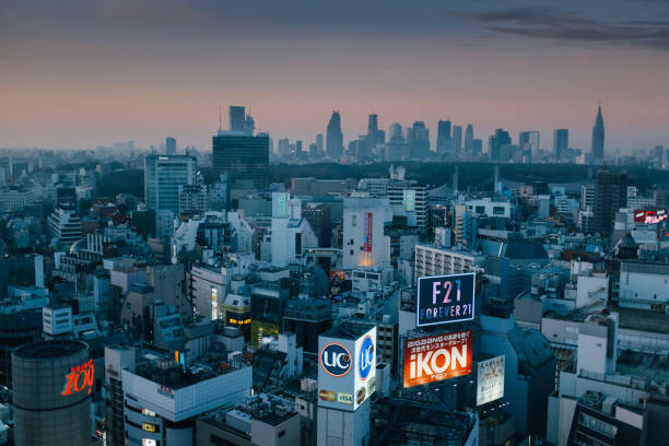 istock Tokyo City 982224234