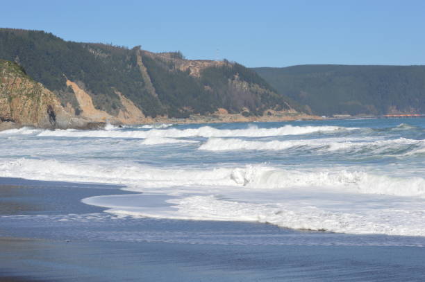 Constitution, Chile. Constitution Beach in the coastal area of the Maule region, central Chile. constitucion photos stock pictures, royalty-free photos & images