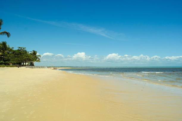 istock One side of Ponta do Corumbau beach in Prado 982234278