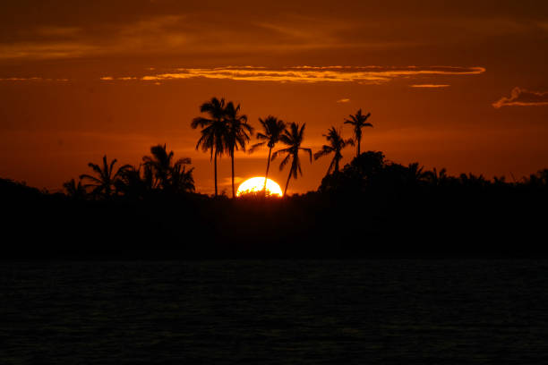 A beautiful sunset in Caravelas (Bahia - Brazil) The sun set in Cassumba's island palms in Caravelas tarde stock pictures, royalty-free photos & images