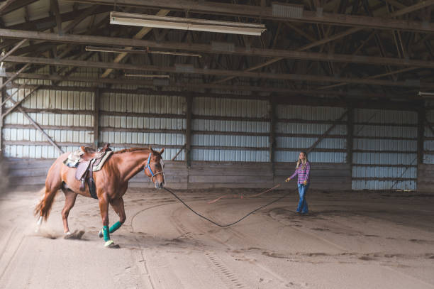 istock A Woman and Her Horse 982235842
