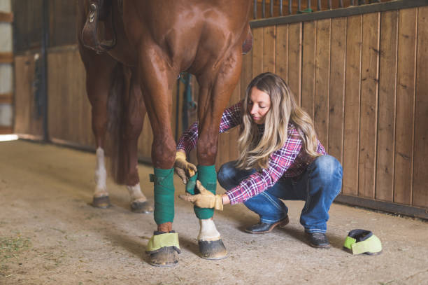 istock A Woman and Her Horse 982235926