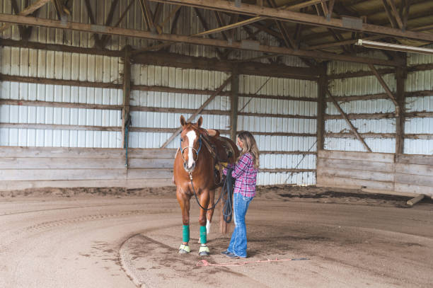 istock A Woman and Her Horse 982235940
