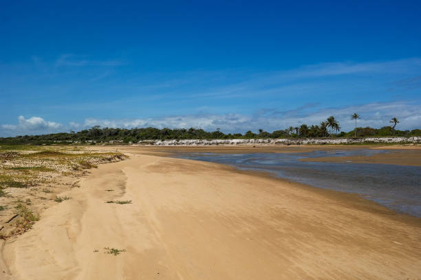 istock Guaratiba Beach landscape (Paisagem da Praia de Guaratiba) 982244438