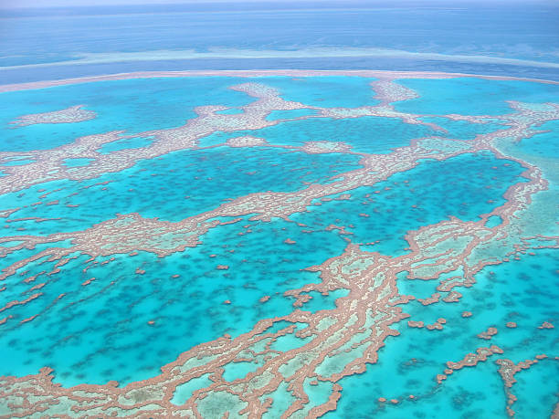 istock Australia's Great Barrier Reef (view from the air) 98225002