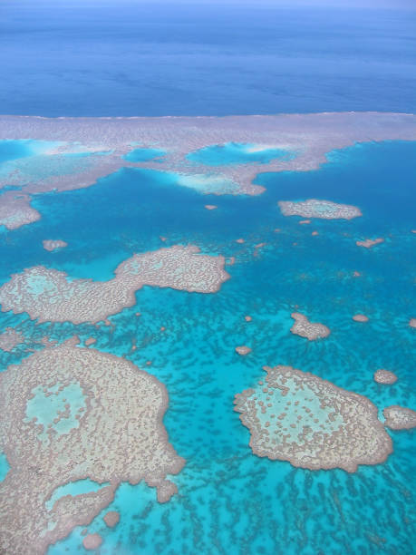 A wide angle, aerial view of south Florida's Biscayne Bay highlighting the colors of the tropical waters and the textures of the shallow depth and waves for a great nature background.