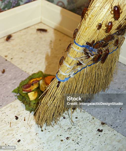 A Bunch Of Roaches On A Broom Sweeping Up Garbage Stock Photo - Download Image Now - Bacterium, Bad Condition, Broom