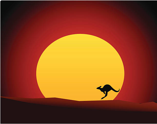 australisches outback sonnenuntergang mit känguru/neuguineisches buschkänguru (vektor-illustration - kangaroo outback australia sunset stock-grafiken, -clipart, -cartoons und -symbole