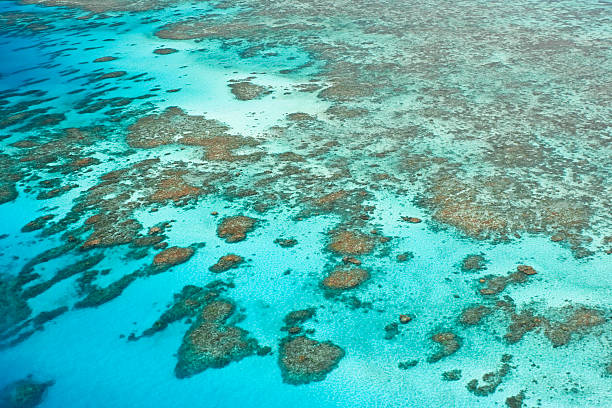 istock Australia's Great Barrier Reef (High Resolution aerial shot) 98225329