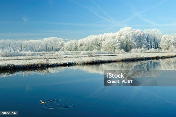 Paesaggio Invernale - Fotografie stock e altre immagini di Fiume - Fiume, Inverno, Paesi Bassi