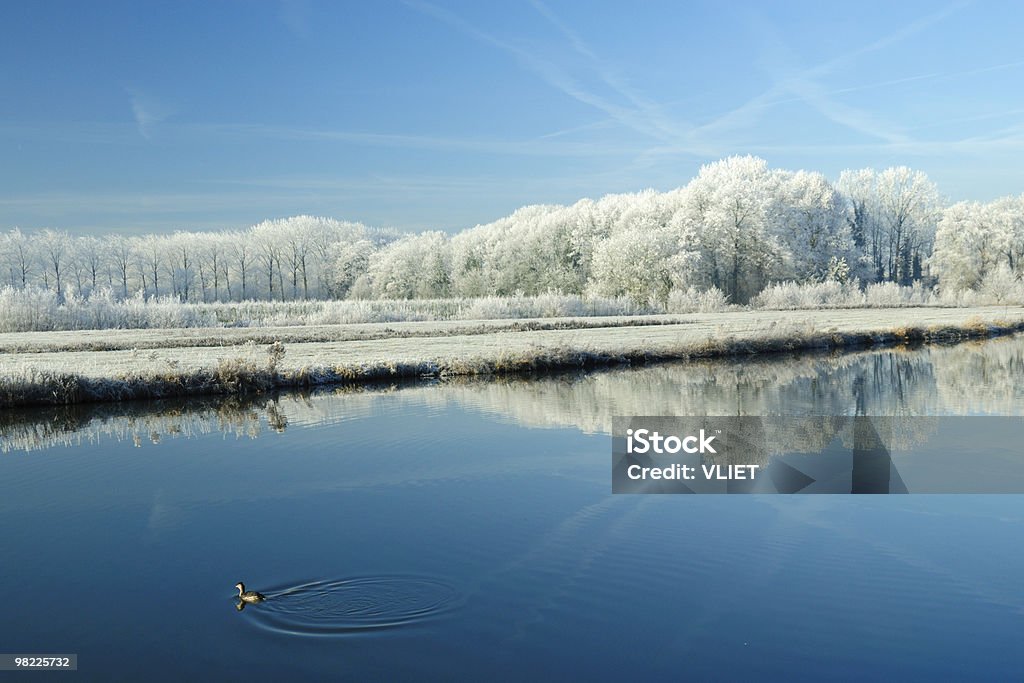 겨울맞이 풍경 - 로열티 프리 강 스톡 사진
