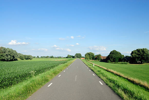 istock Rural dyke road in Dutch landscape 98225765