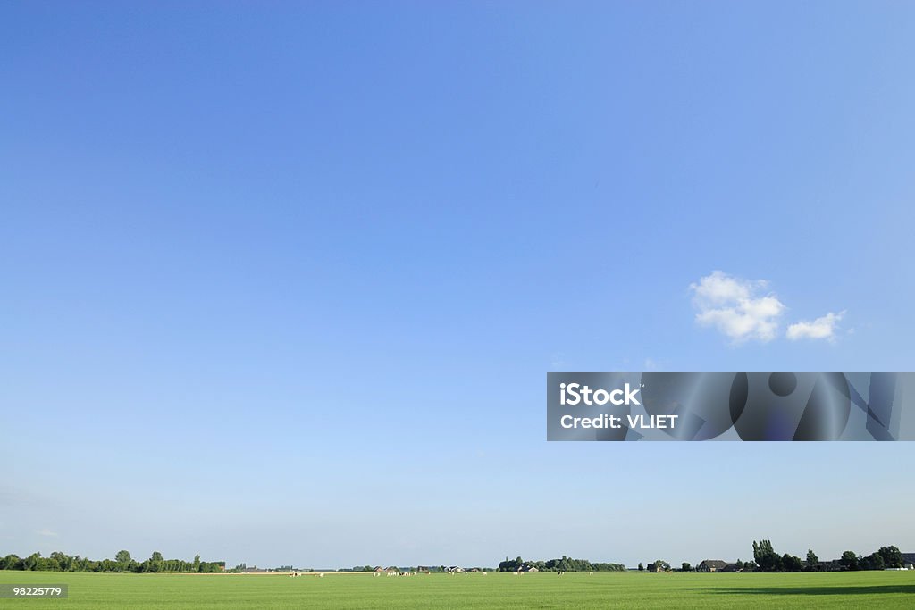 Holandês Paisagem de Verão - Royalty-free Agricultura Foto de stock