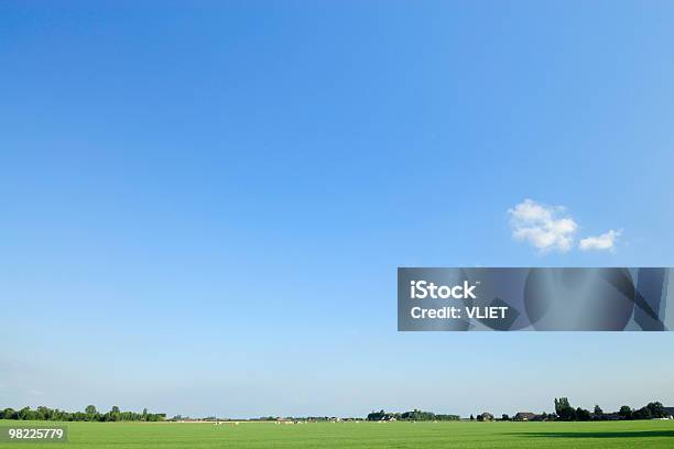 Foto de No Verão A Paisagem Holandesa e mais fotos de stock de Agricultura - Agricultura, Ajardinado, Arborizado