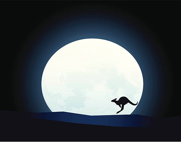 ilustrações, clipart, desenhos animados e ícones de australian outback luar com canguru e wallaby (ilustração vetorial - wallaby kangaroo australian culture australia