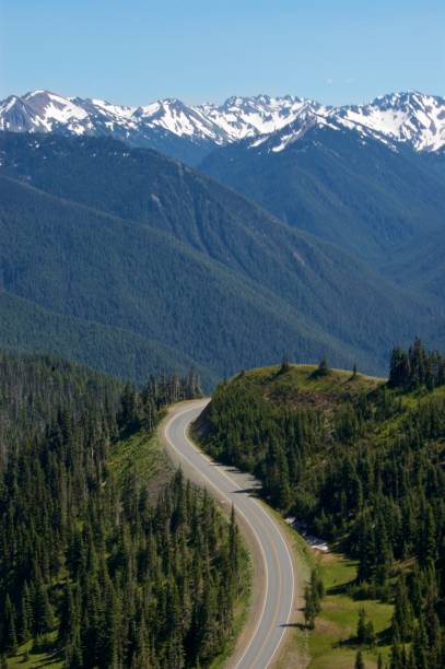 istock Winding road in Pacific Northwest, USA 982265820