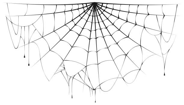 Spider Web Splitting Inhalf 230+ Split Half Circle Stock Photos, Pictures & Royalty-Free Images ...