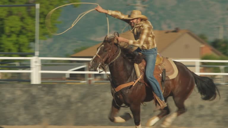 Utah cowboy roping a calf