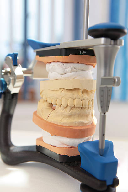 dental artikulator - articulator stock-fotos und bilder