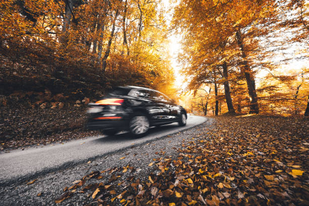 herbst drive - curve driving winding road landscape stock-fotos und bilder