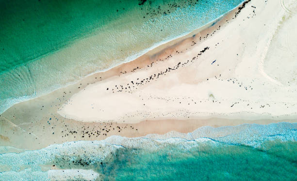 istock High tide encroaches on a sand spit cutting access 982350210