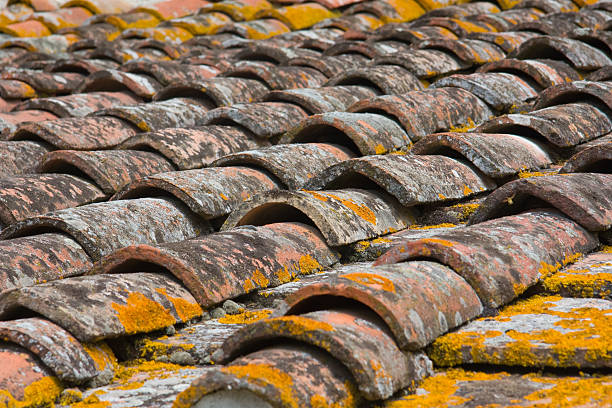 Azulejos do tecto - fotografia de stock