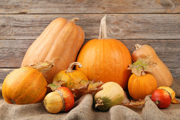 istock Orange pumpkins with dry leafs and sackcloth on grey wooden table 982358280