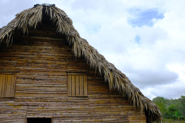 Vinales, Cuba, House drying tobacco leaves