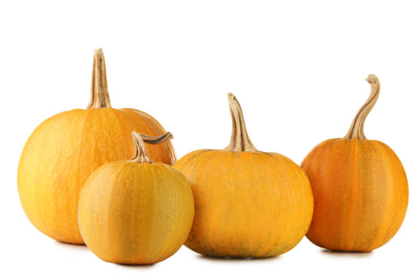 istock Orange pumpkins isolated on a white background 982363354