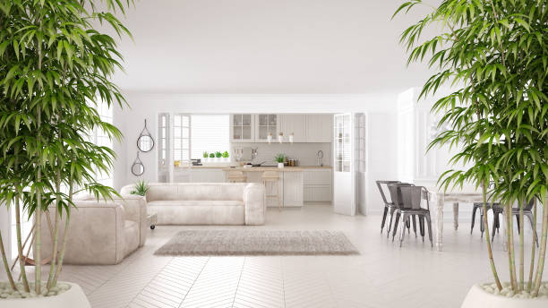 zen-interieur mit eingemachten bambuspflanze, natürliche einrichtungskonzept, minimalistischen weißen wohnzimmer und küche, skandinavische klassische architektur - feng shui stock-fotos und bilder