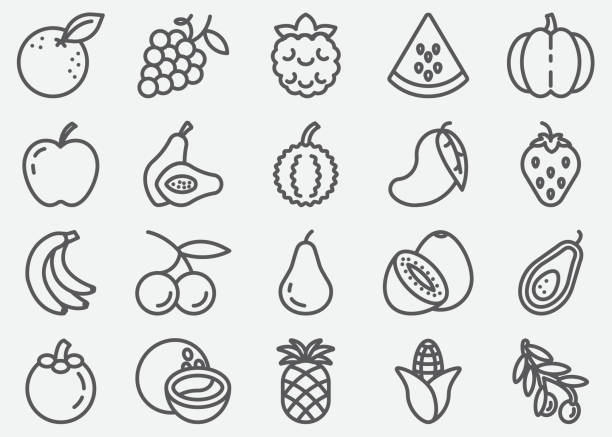 ilustraciones, imágenes clip art, dibujos animados e iconos de stock de iconos de línea de frutas - frutas