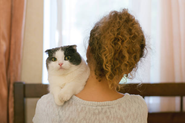 istock Girl holding a cat on her shoulder at home 982382504