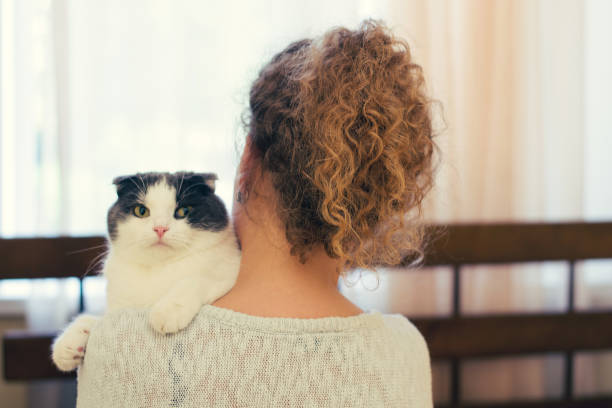istock Girl holding a cat on her shoulder at home 982382782
