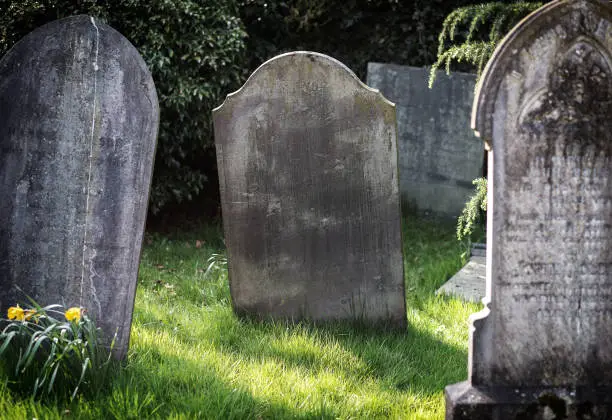 Photo of Blank gravestone in graveyard. Old, decayed and grunge, ready for text. Trees and bushes in background.