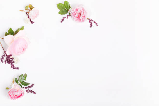istock Festive flower composition on the white wooden background. Overhead view 982403246