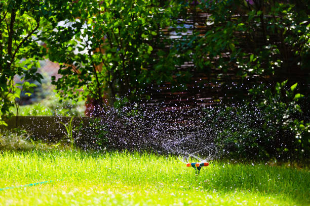 istock Garden sprinkler watering grass 982410160