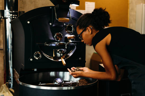 istock Young barista checking coffee beans in roasting machine, standing in coffee shop 982412568