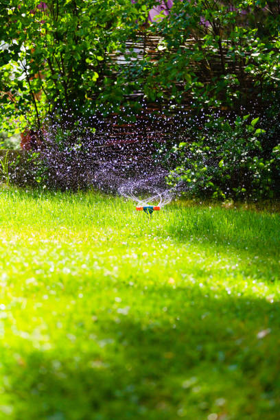 istock Rotating garden sprinkler watering grass 982412646