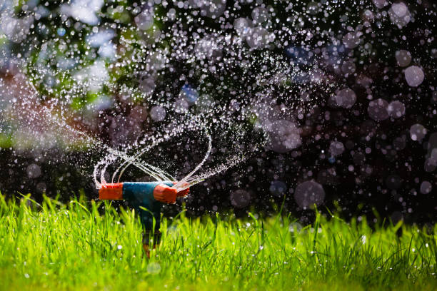 Rotating garden sprinkler watering grass stock photo