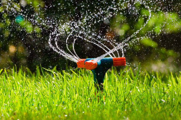 istock Garden sprinkler watering grass 982417068