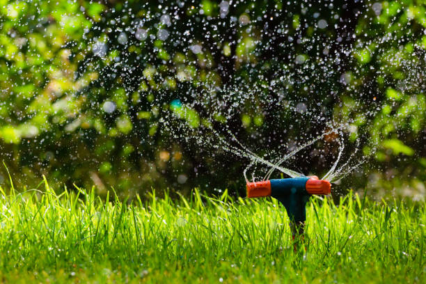istock Rotating garden sprinkler watering grass 982417666