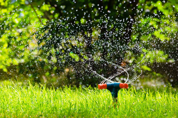 istock Garden sprinkler watering grass 982417796