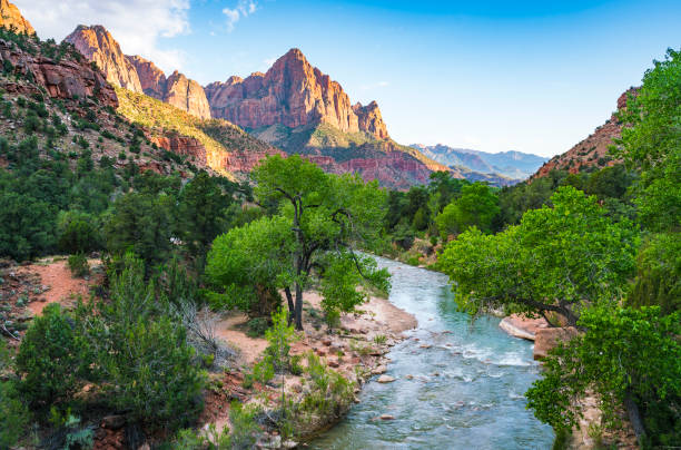 bellissimo parco nazionale di sion in giornata di sole, utah, usa. - mountain peak mountain horizontal exploration foto e immagini stock