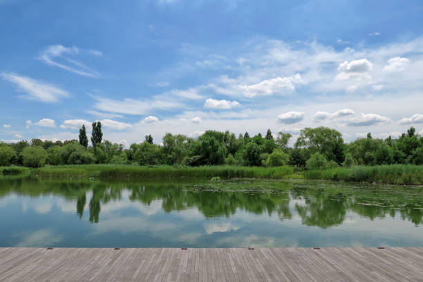 istock Landscape in city park with lake 982425260